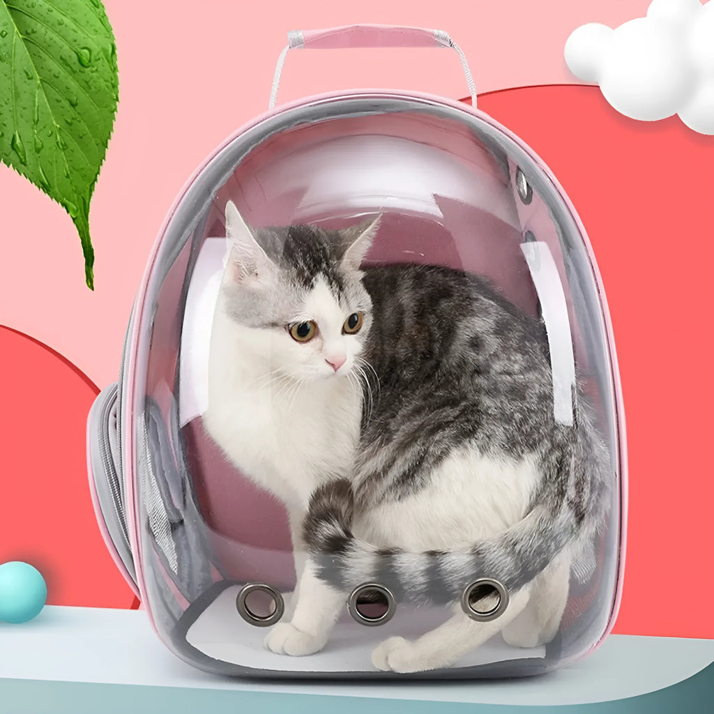 Grey hard-shell pet carrier bag with side opening for medium-sized cats or small dogs.