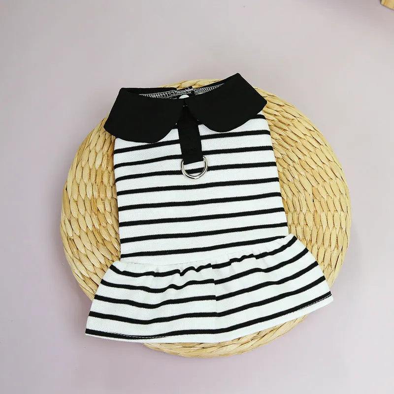 Dog wearing cotton summer stripes T-shirt and matching skirt set