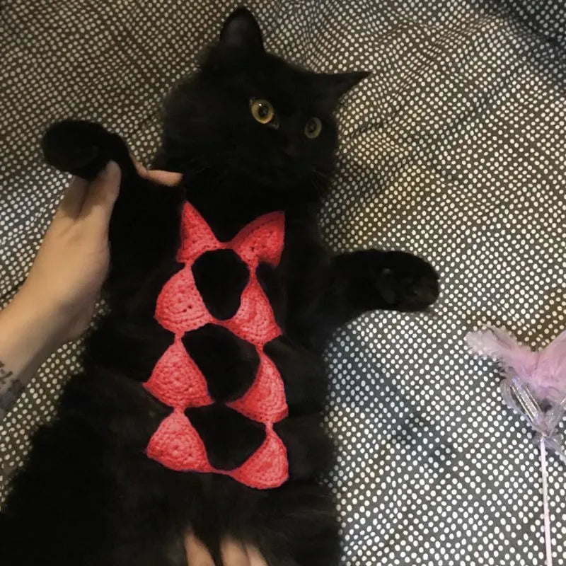 Cat wearing sweet style bikini costume in multiple colour options for Halloween and party events