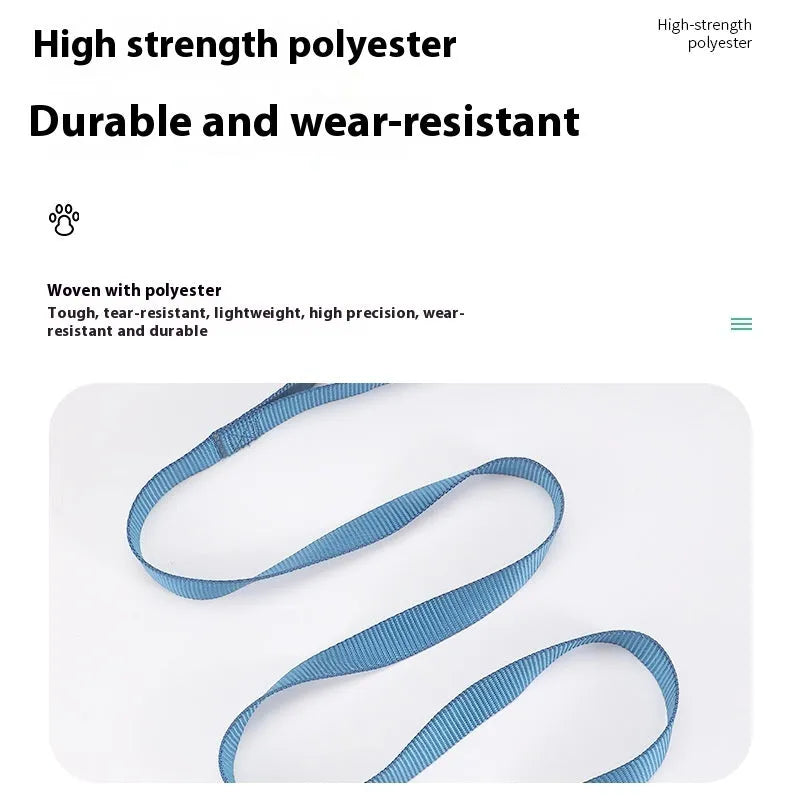 Solid colour dog lead rope in hand-holding loop design with various colour options displayed