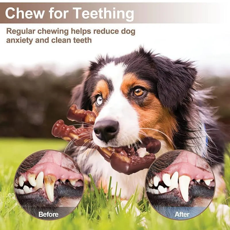 Scarlet red nylon dog chew toy with beef flavour, shown next to a measuring tape indicating 10.7 by 17.2 cm size.