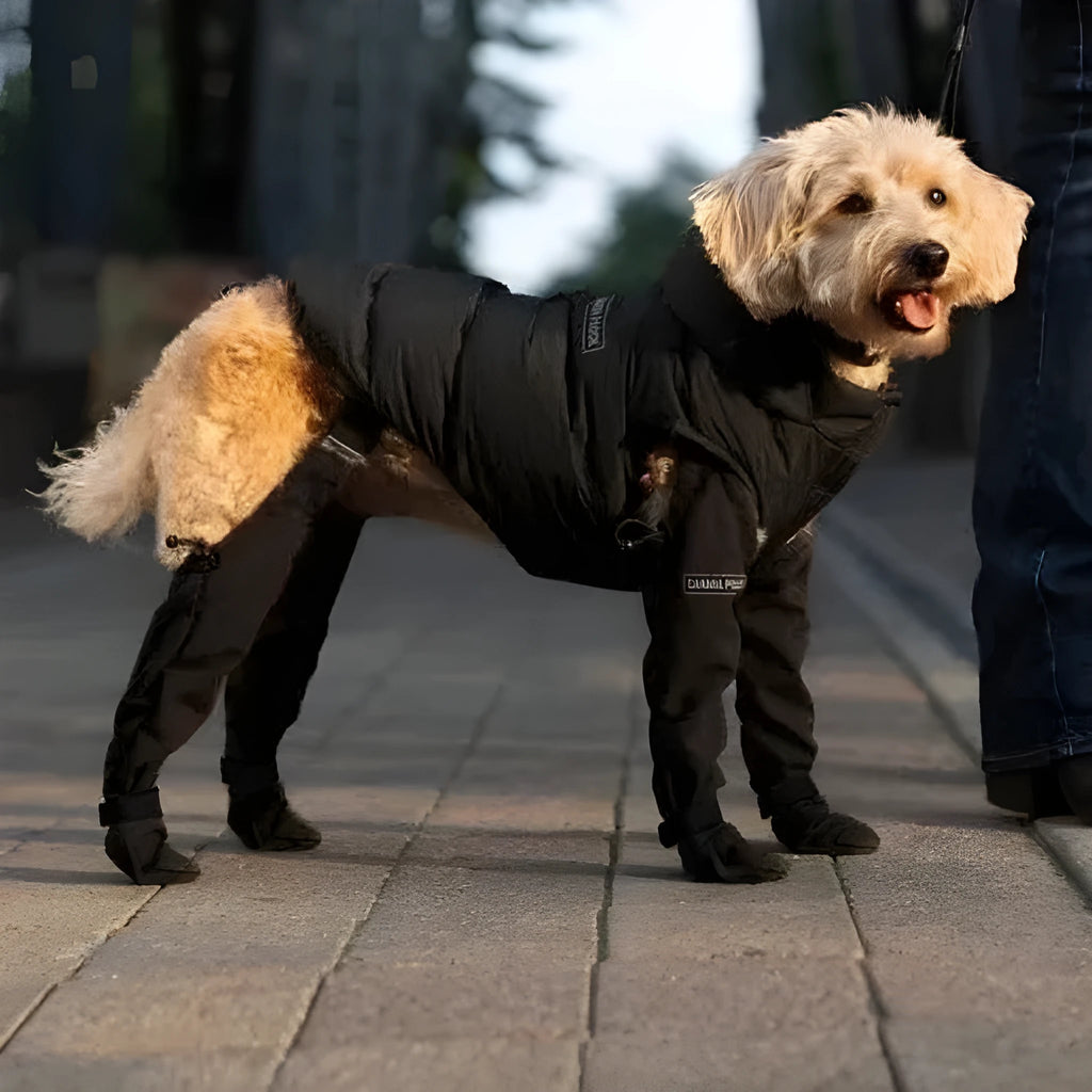 Black waterproof non-slip dog shoes for paw protection in polyester material