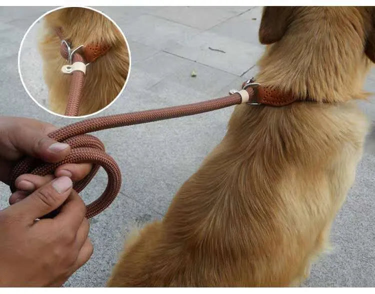 Brown nylon dog leash with P chain hand grip showing 2.1 metre length