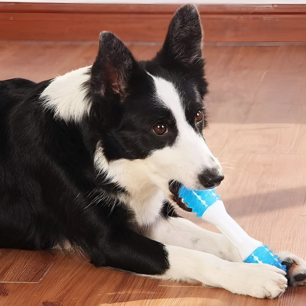 Dual-colour TPR puppy teething chew toy for dogs aged 2-8 months