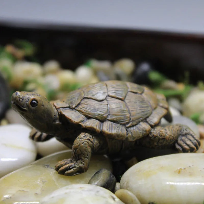 Realistic resin turtle decoration for miniature gardens and displays with natural colour variations