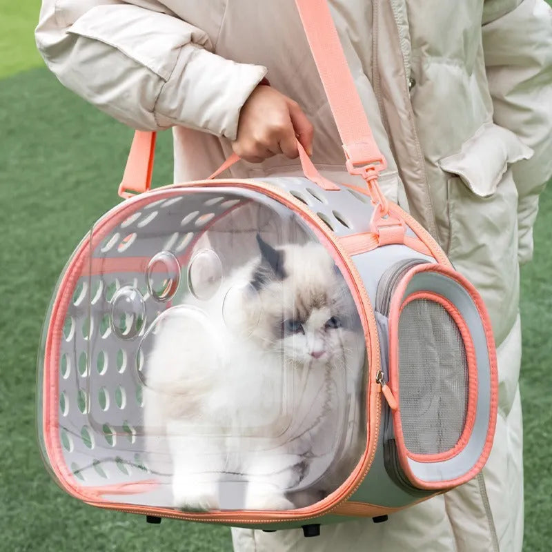 Transparent space capsule backpack cat carrier with hard EVA shell in multiple colour options