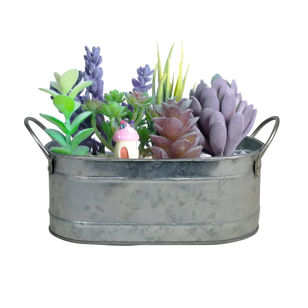 Rectangular galvanised iron desktop flowerpot for succulent plants.