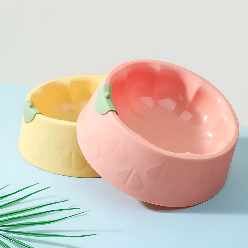 Plastic double pet bowl with flower design in blue colour showing food and water compartments