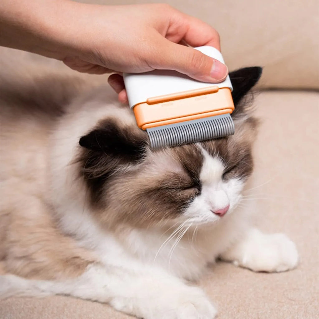 Blue double-sided pet grooming comb for cats and dogs with stainless steel teeth