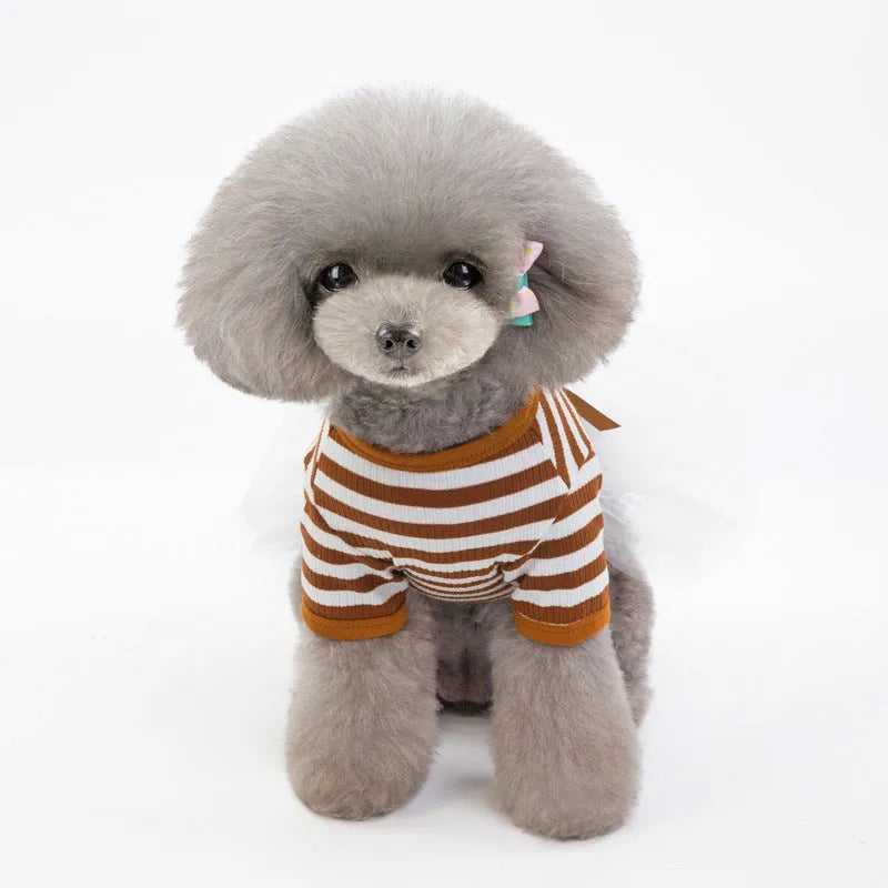 Cotton pet skirt for small female dogs with bears teddy design in coffee colour