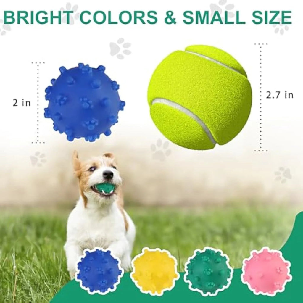 Bright blue, green, pink and yellow spiky dog balls with paw print dimples for small breed chewing and fetch.