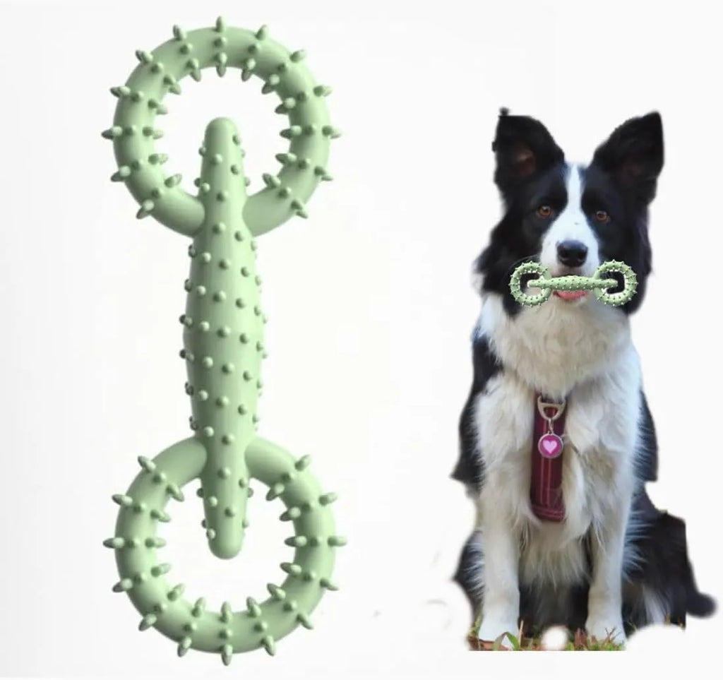 Blue TPR dog chew ring toy for puppy teething measuring 16cm diameter