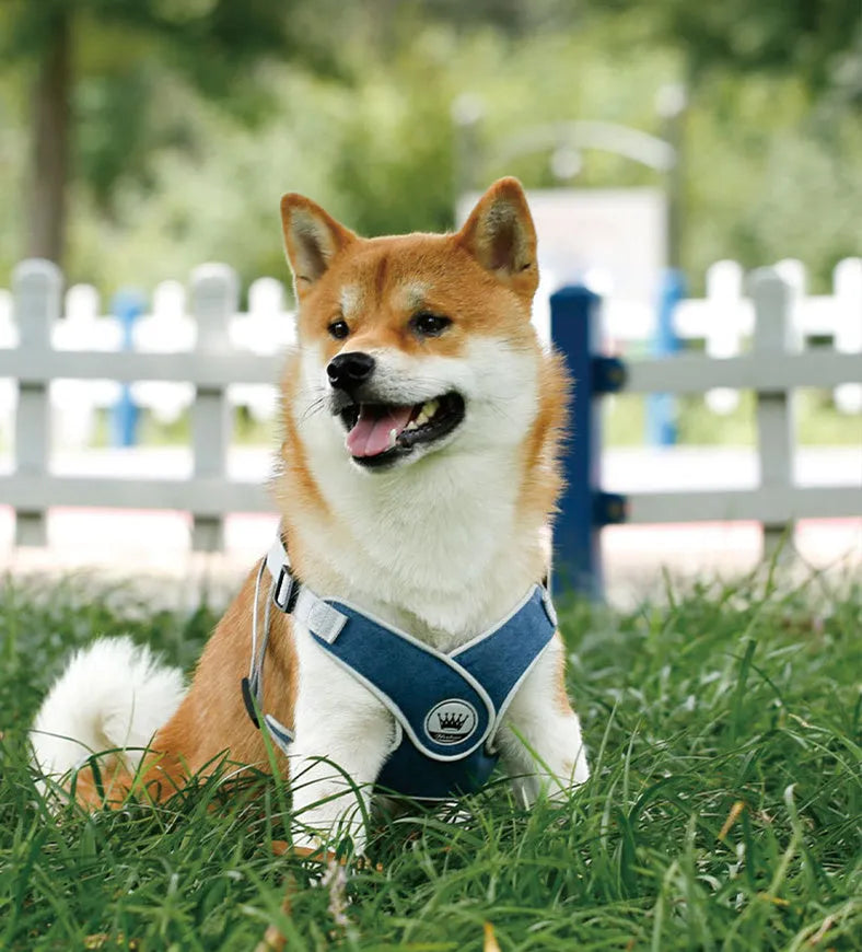 Adjustable reflective dog harness vest in breathable mesh material with metal control ring