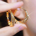 Alloy Hoop Earrings with Electroplated Finish Geometric Shape F247-A Large Hoop Earrings for Women Delicate Personality Ornament Statement Jewellery Pair
