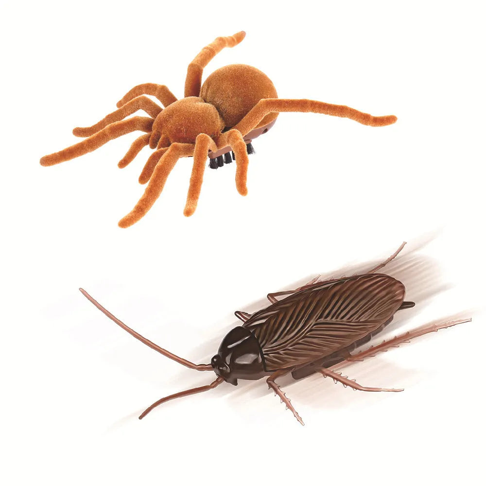 Electric vibration pet toy showing insect simulation design with walking trick mechanism