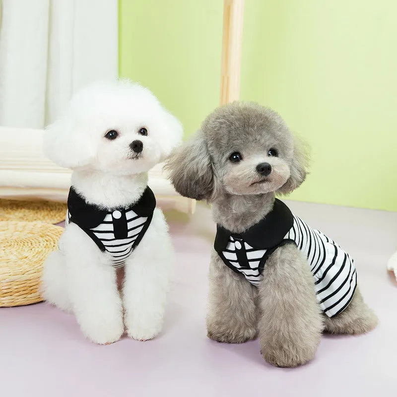 Dog wearing cotton summer stripes T-shirt and matching skirt set