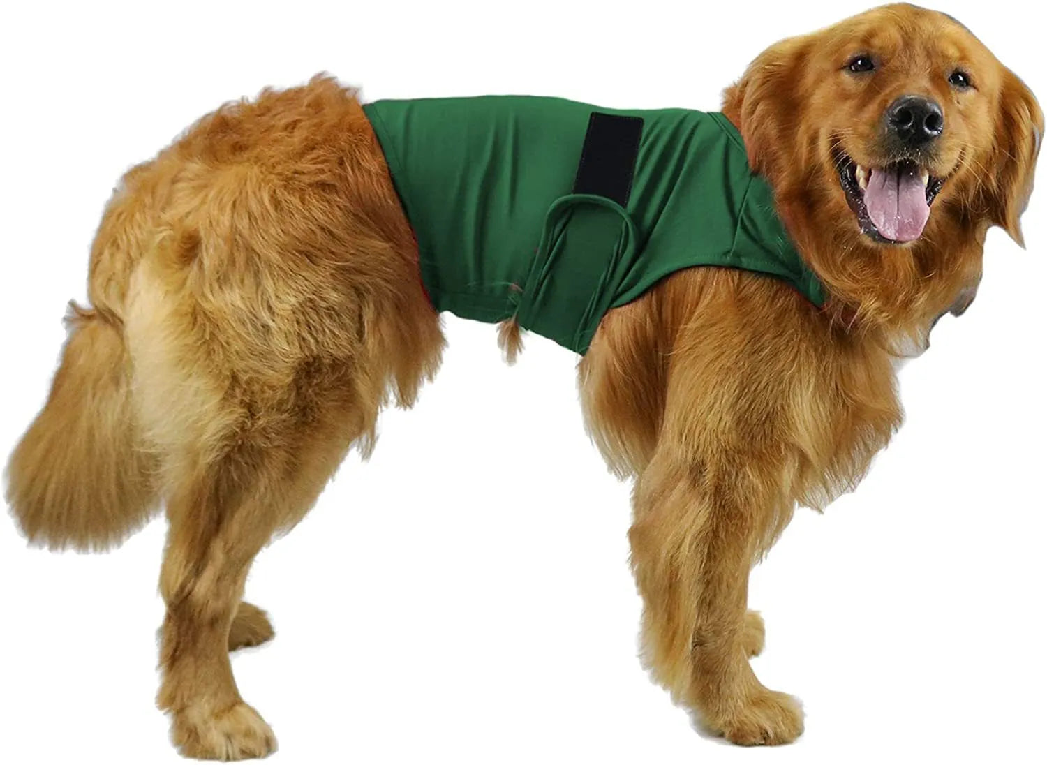 Dog wearing brocade cotton calming tank top for separation anxiety relief in Rose Red colour