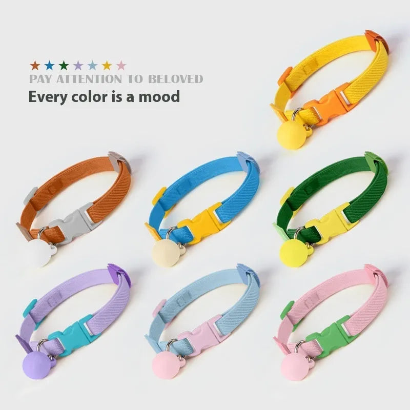 Small dog polyester elastic pet collar in multiple colours with 22-32 cm adjustable length