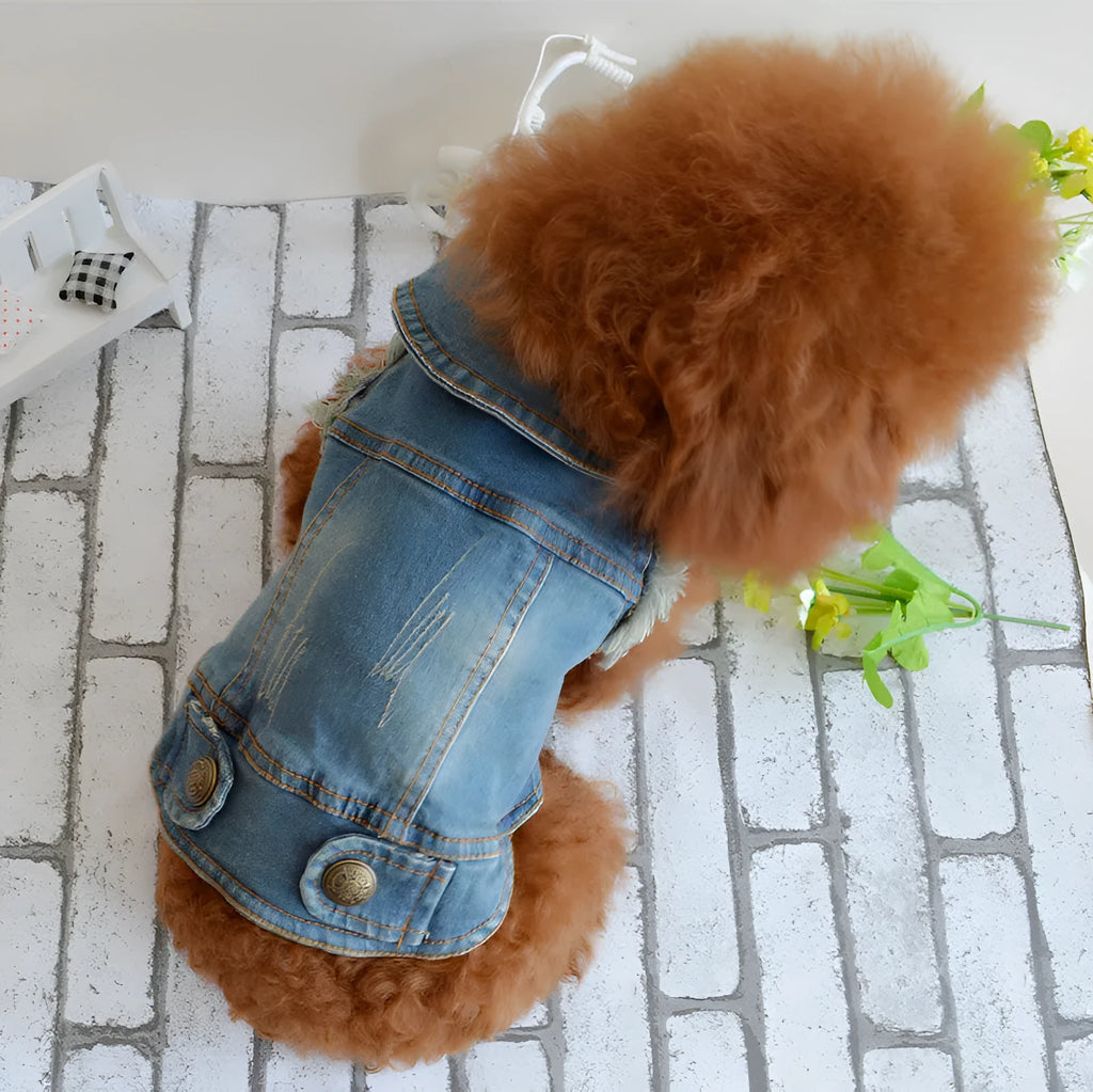 Denim dog vest with retro scratch pattern for small breed pets in dark and light colour options