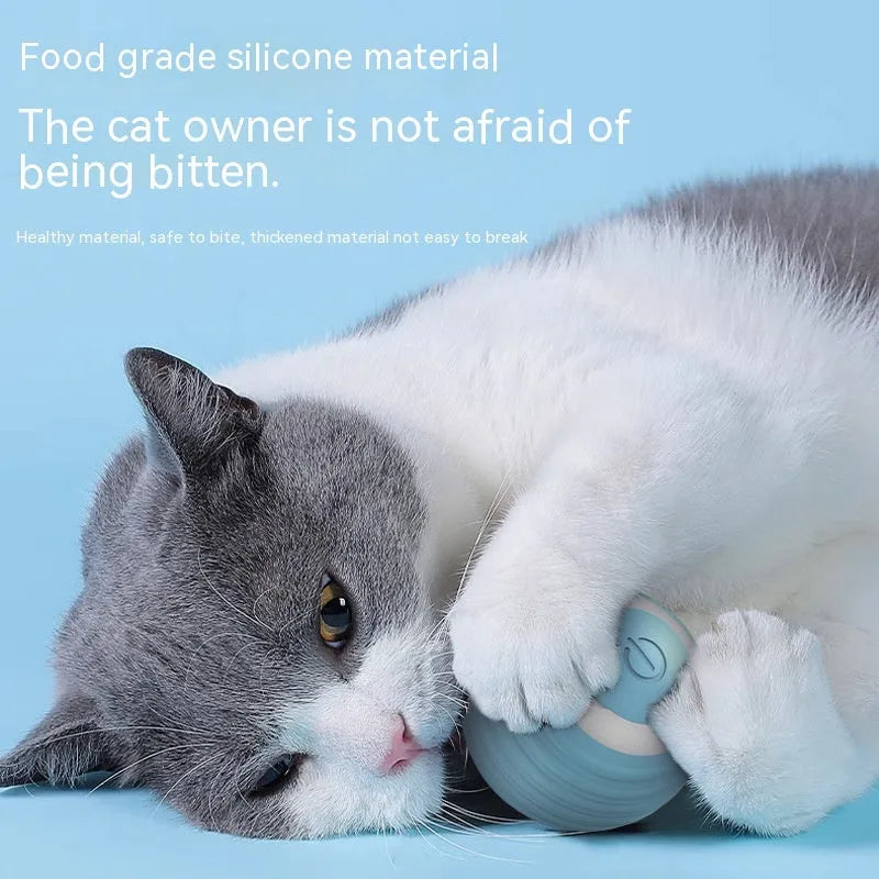 Blue automatic moving cat toy ball on floor with charging cable