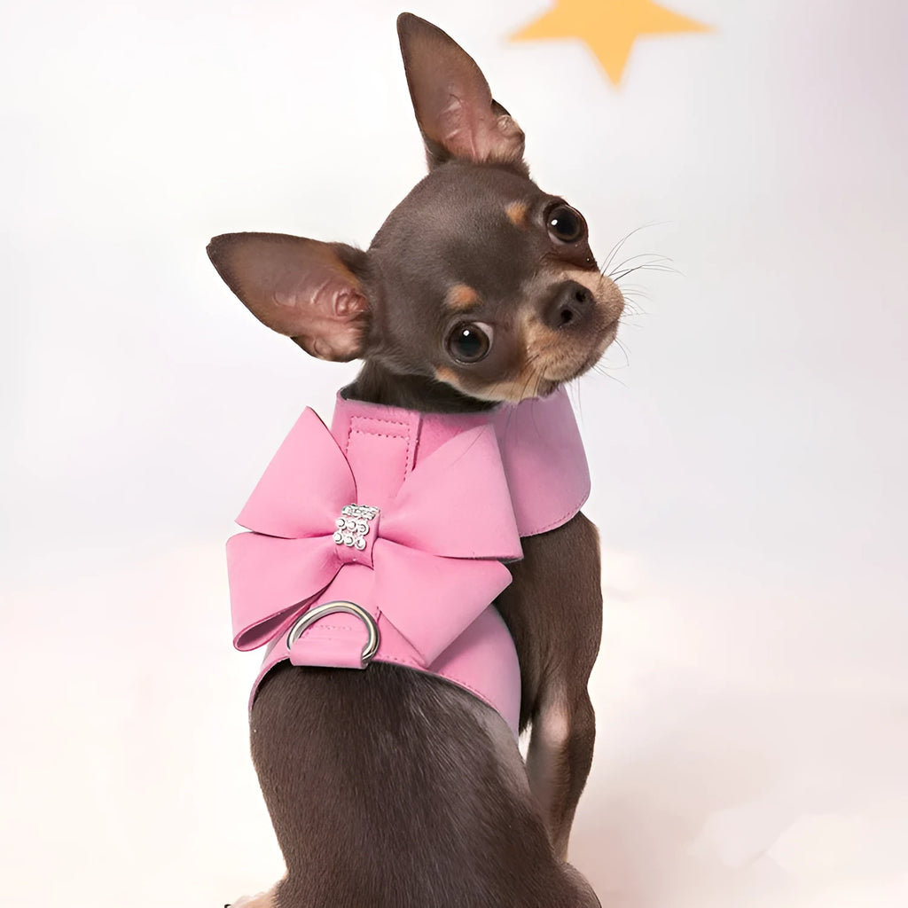 Puppy wearing a blue microfiber chest strap with a decorative bowknot, showing the adjustable lead attachment.
