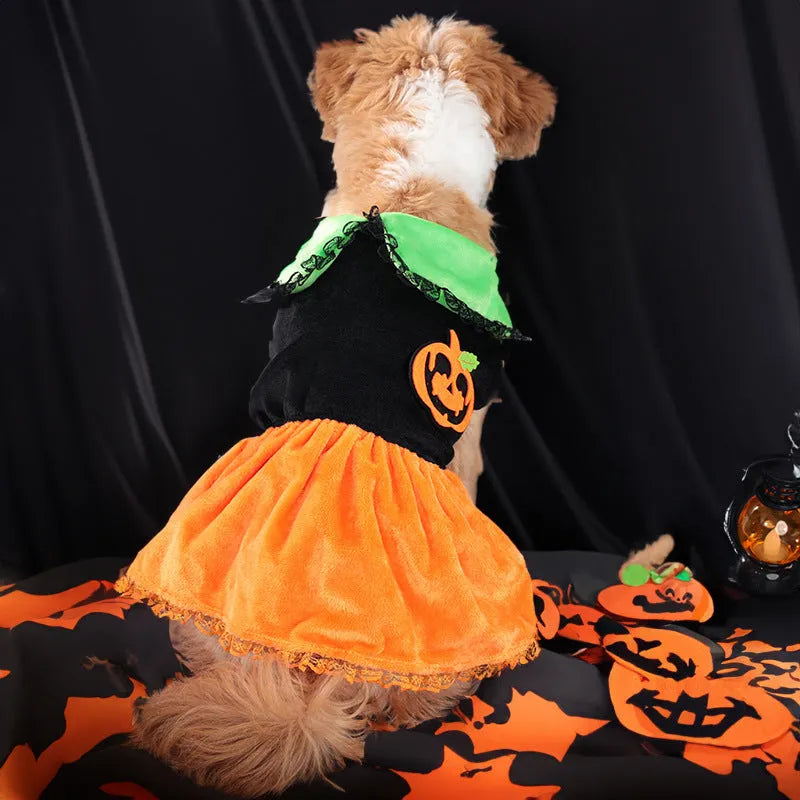 Crystal velvet Halloween pumpkin skirt costume for dogs and cats on mannequin