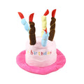 Blue and pink birthday hats for small dogs with elastic bands, shown with dimensions 21cm by 15cm.