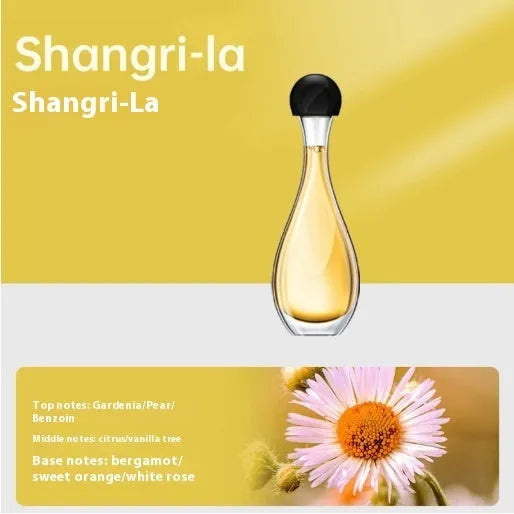 Ultrasonic dual-function aroma diffuser and mosquito repellent device with essential oil bottle.