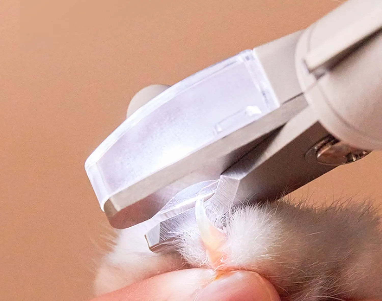 White pet nail clippers with LED light, transparent anti-splash guard and triangular blade for dogs and cats