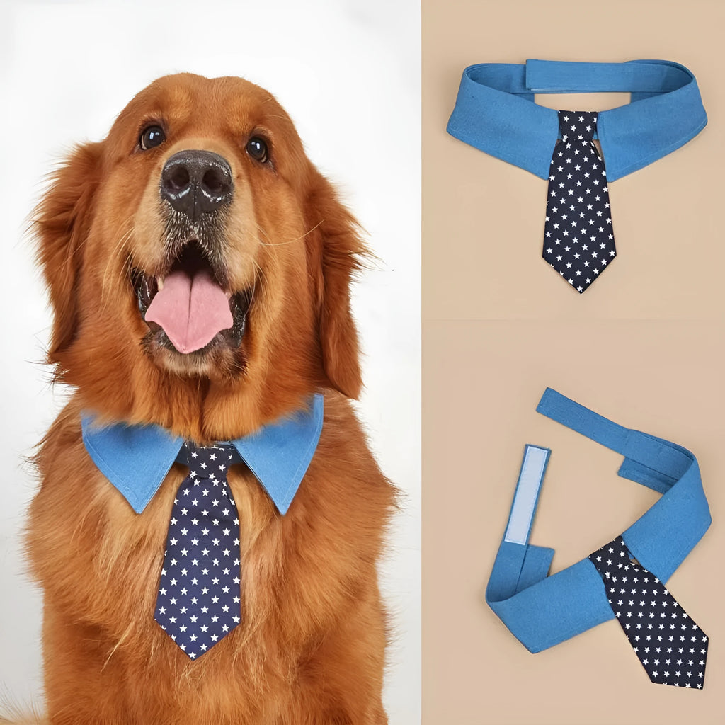 Adjustable denim dog collar with blue star pattern necktie fastened on a pet.