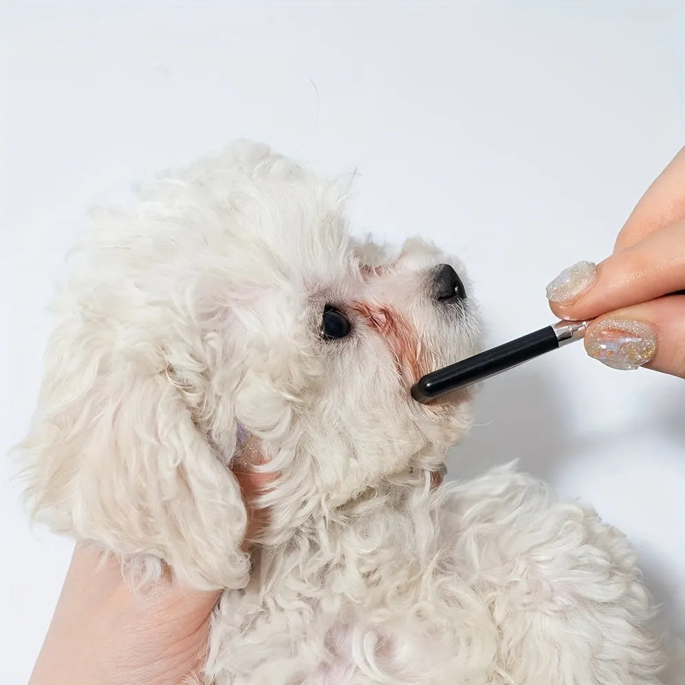 Black pet grooming brush with soft silicone bristles and a built-in comb for dogs and cats.