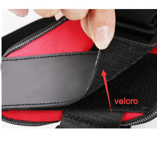A reflective adjustable dog harness vest shown on a dog, with a handle and D-ring for leash attachment.
