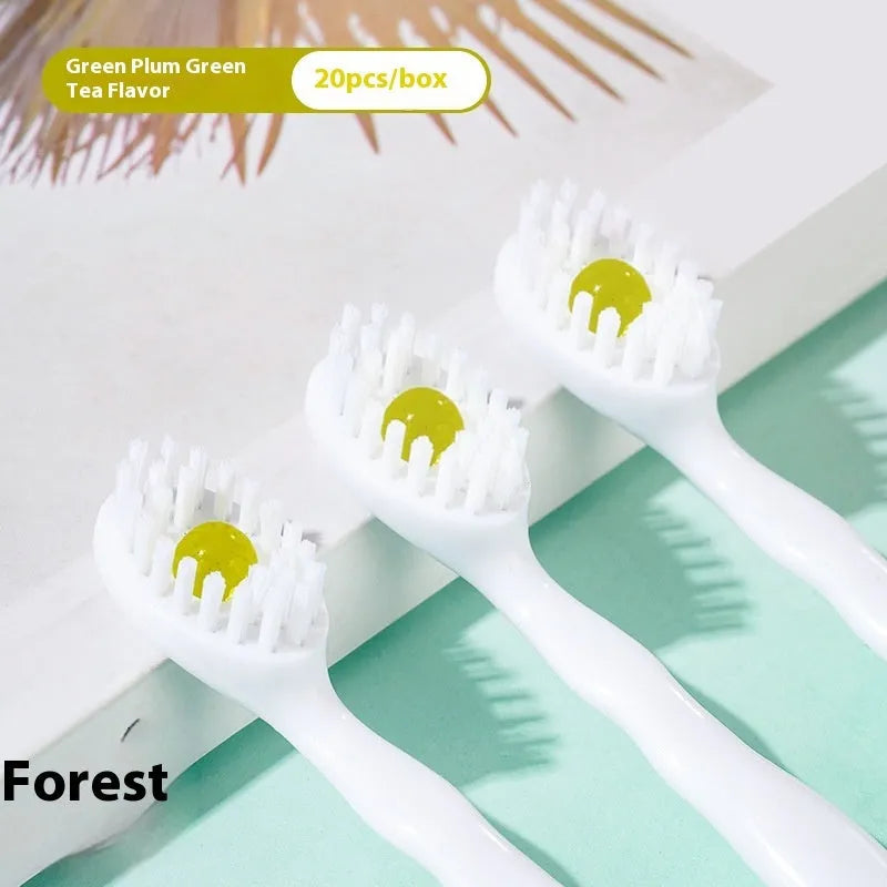 Box of 20 mint flavour disposable chewable bead toothbrushes for travel.
