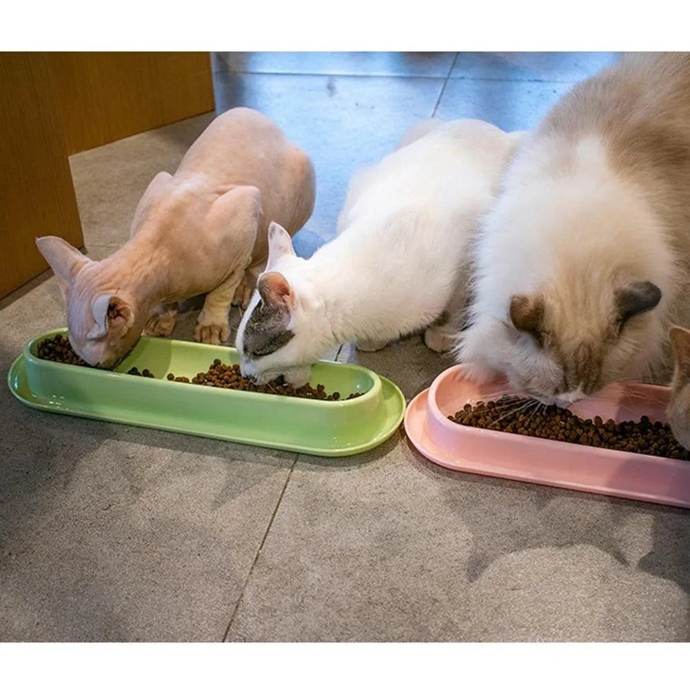 Green leakproof pet bowl set with raised feeding platform for dogs or cats.