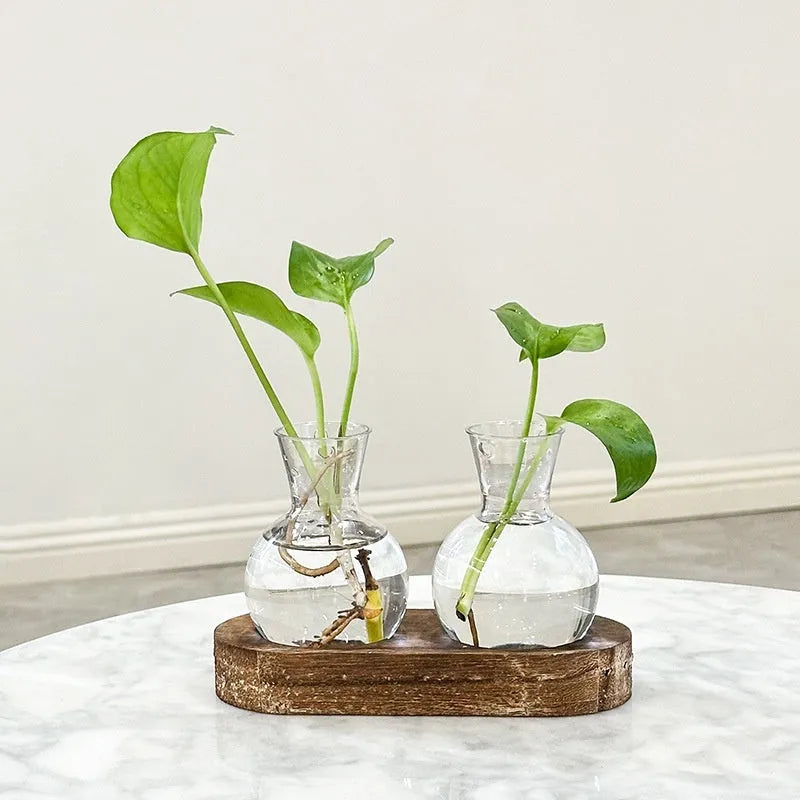 Wooden frame holding transparent glass hydroponic vases in modern home setting