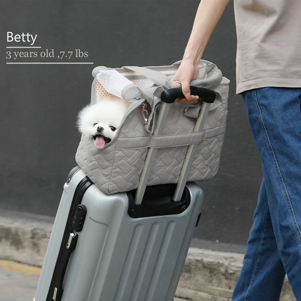 Grey nylon pet carrier handbag with mesh panels and a soft interior for a cat or small dog.