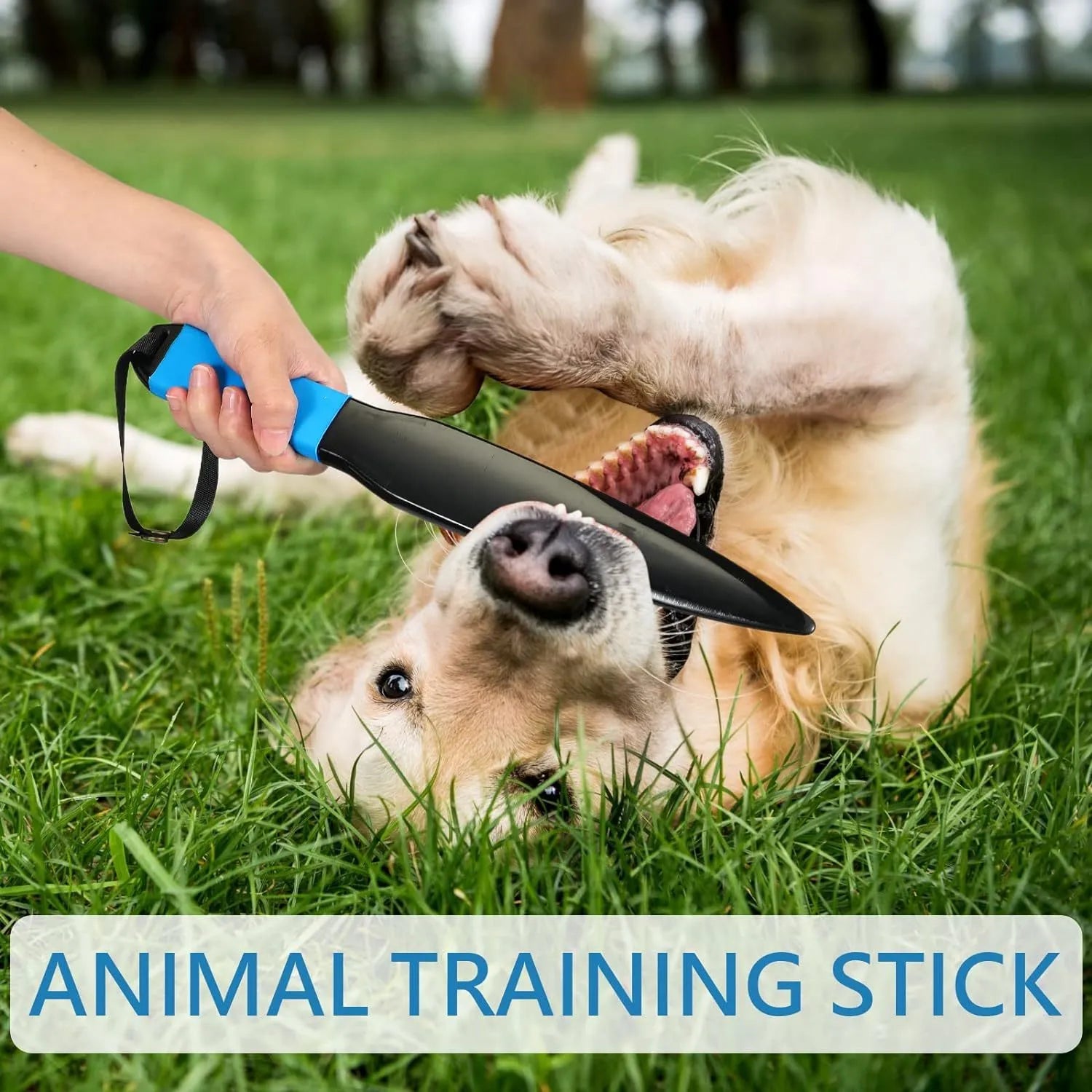 35cm long blue handled nylon dog break stick for training small and medium dogs