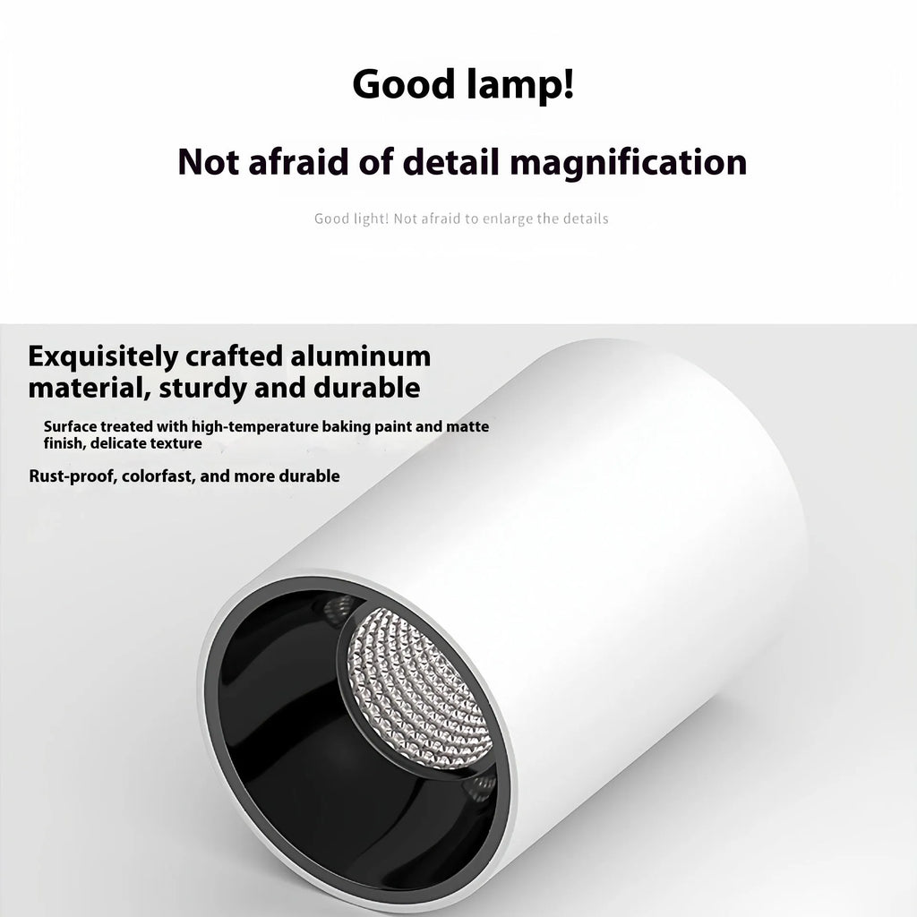 Round aluminium LED surface mounted spotlight in white finish with non-strobe isolated driver