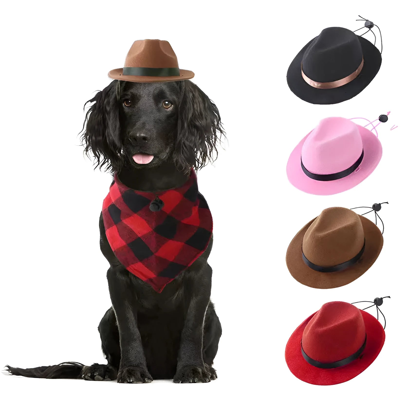 Mini pet sun protection hat in woolen felt with 155cm diameter for small dogs and cats