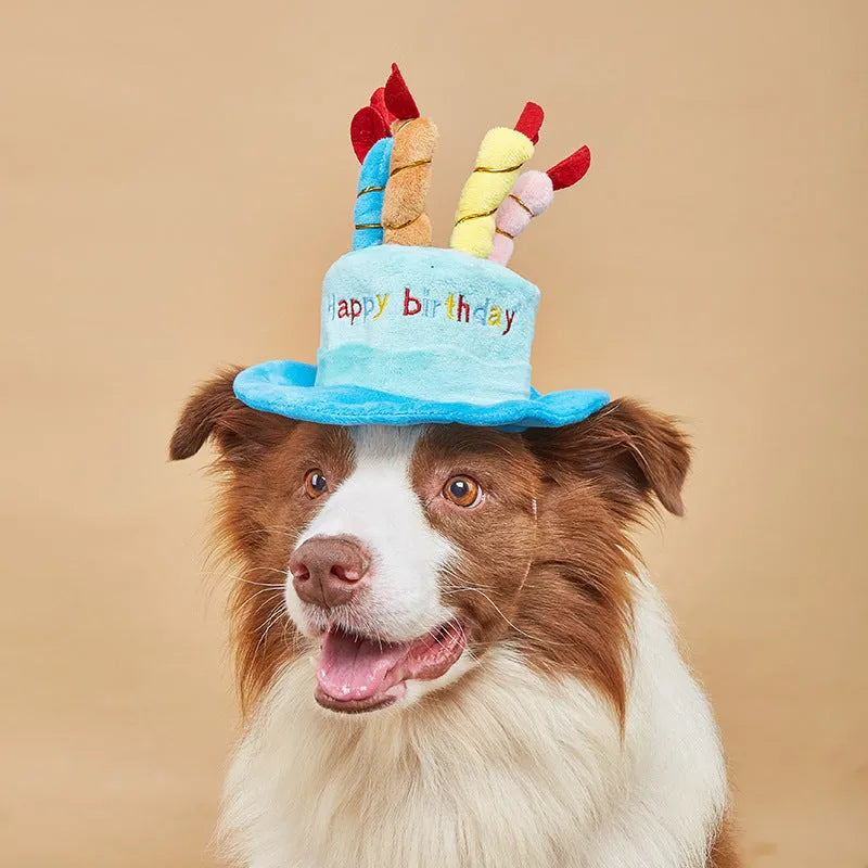 Blue and pink birthday hats for small dogs with elastic bands, shown with dimensions 21cm by 15cm.