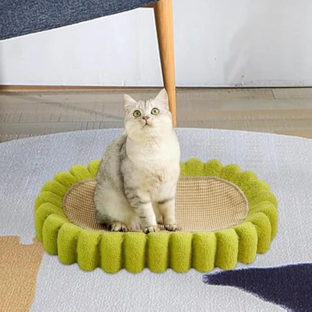 Green oval cat scratch pad and lounge bed made from sisal material