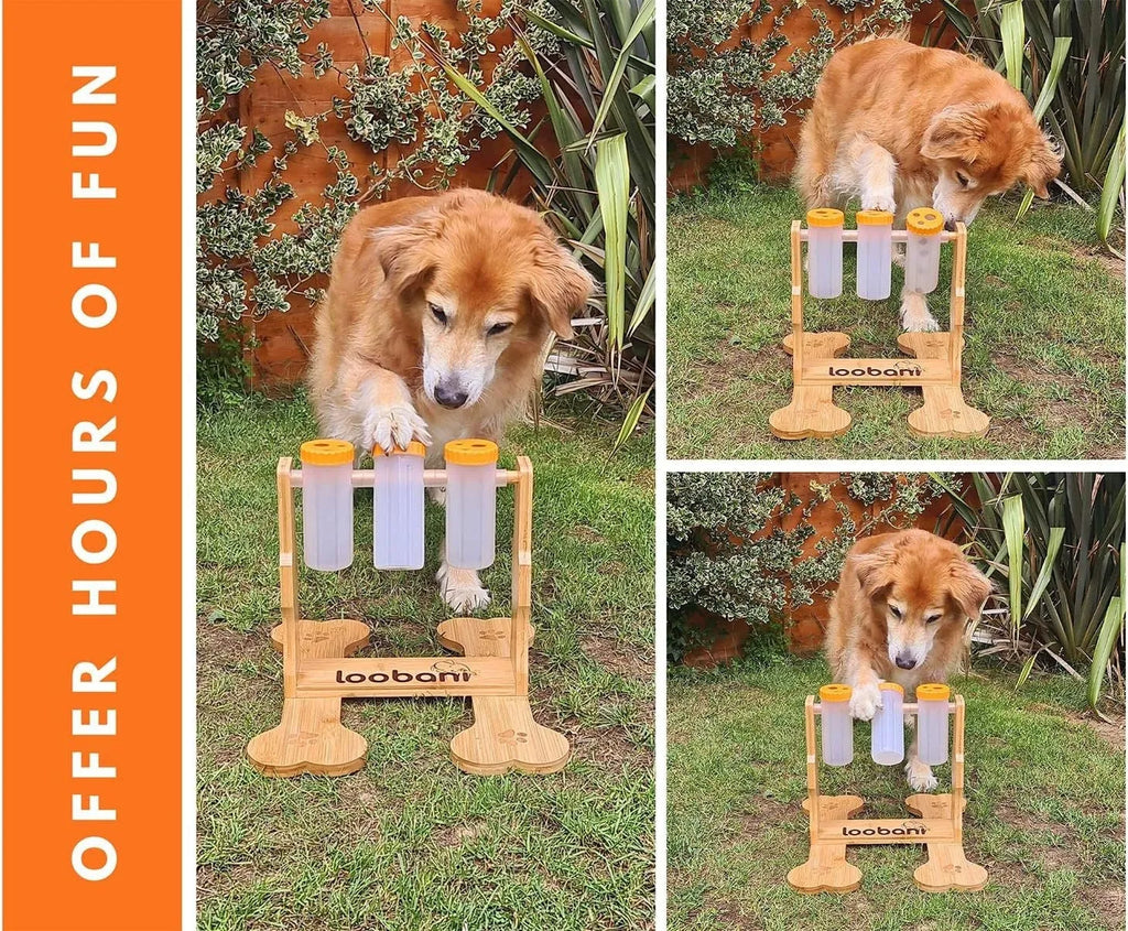 Wooden dog puzzle toy measuring 31x30x20cm with interactive snack dispenser compartments