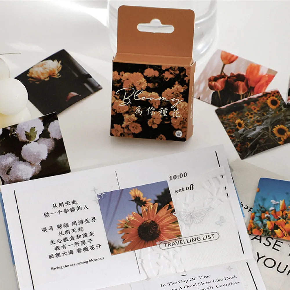 Box of Nordic style decorative stickers showing six colour designs including plant flowers and love letter themes