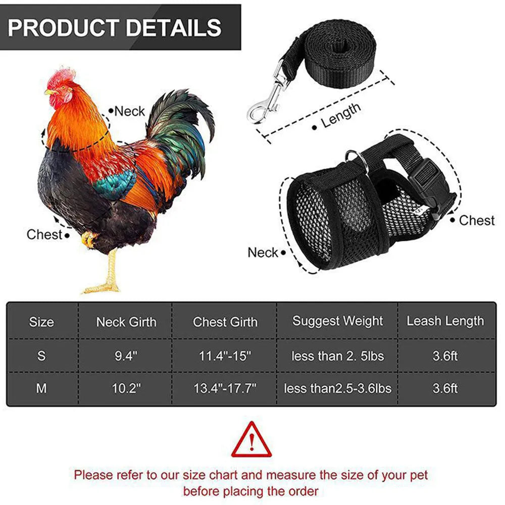 Poultry chicken harness and vest set in chosen colour with adjustable collar and 110cm traction rope.