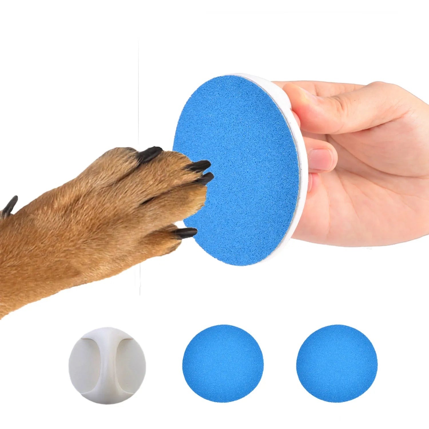 Round dog nail scratch board with ergonomic handle in one of four colours.