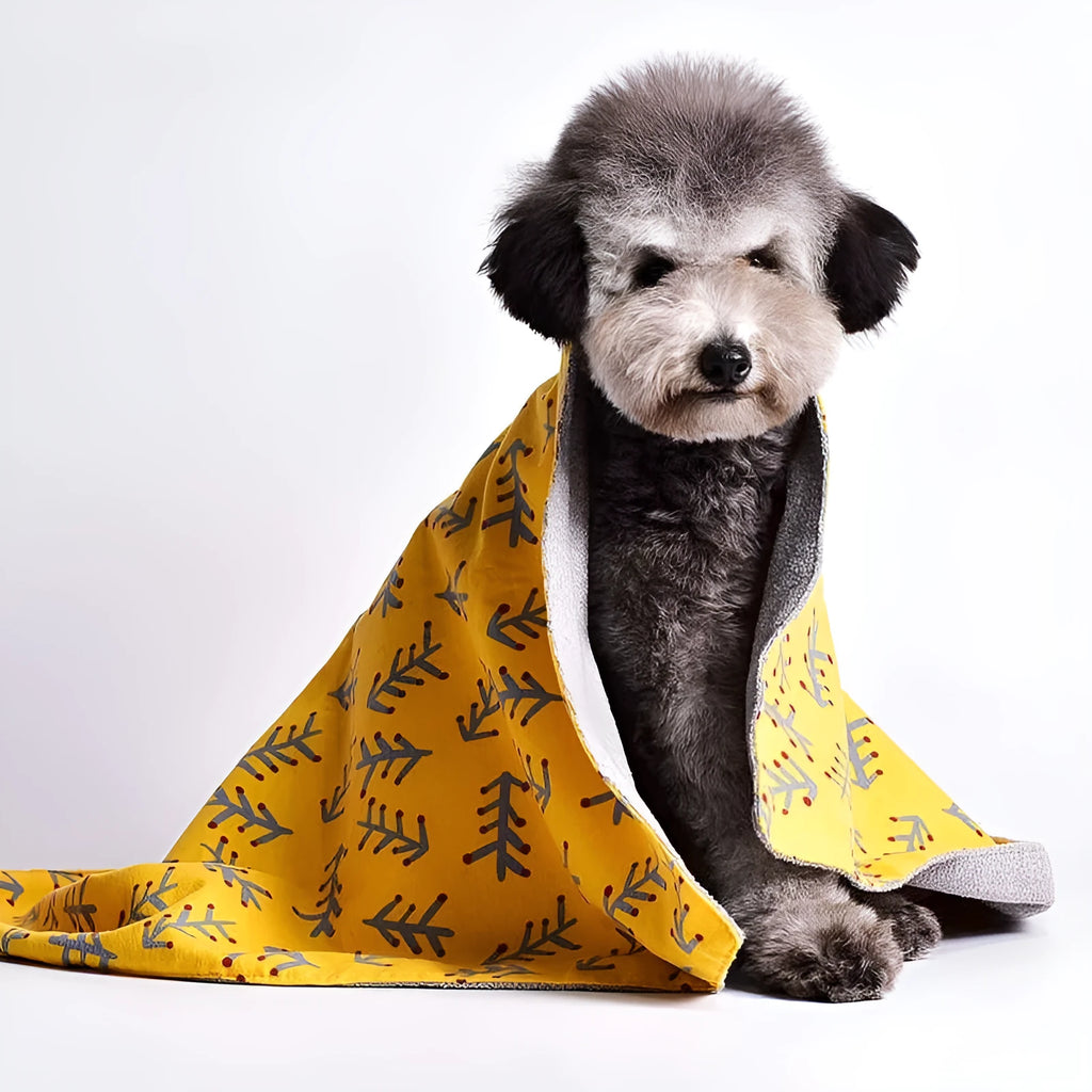 A soft cotton velvet pet blanket with a colourful dinosaur print, shown folded next to a dog bed.