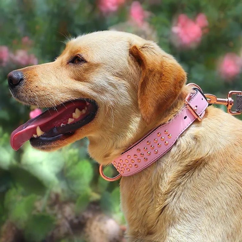 Leather dog collar with metal rivets in chocolate brown, shown in size L