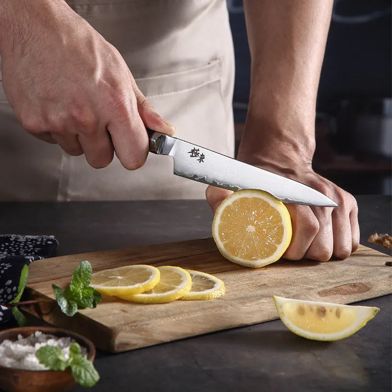 Sanhe Steel AUS-10 8-inch Japanese-style butcher knife with stainless steel blade