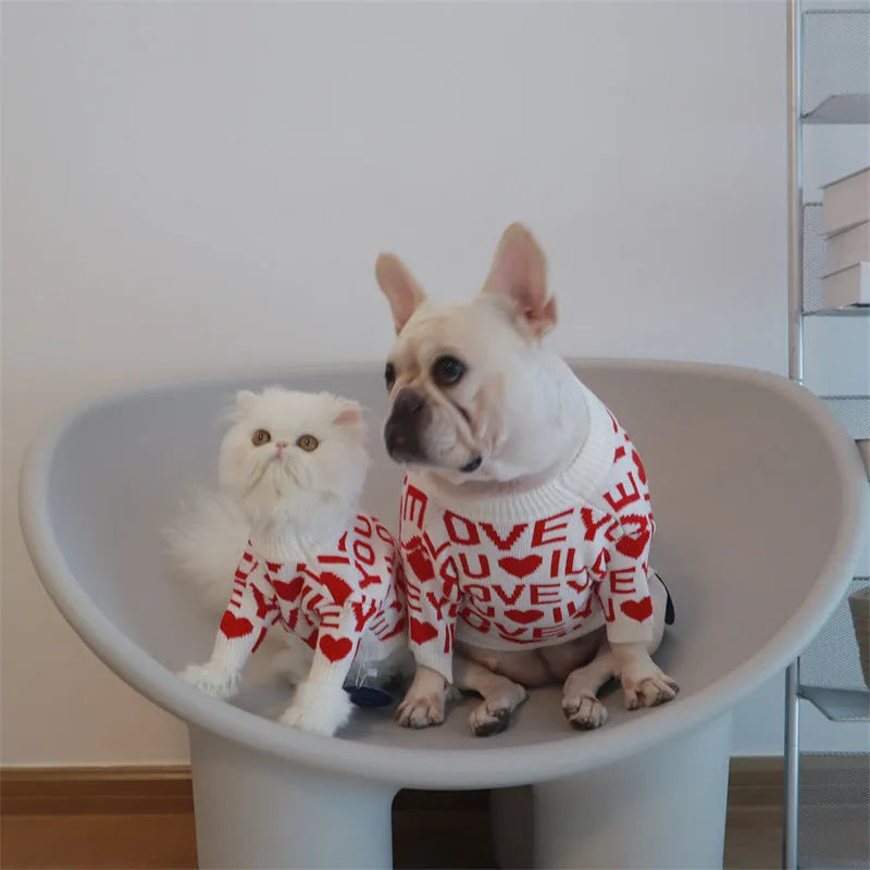 Red dog padded warm sweater made from rabbit velvet core-spun yarn on white background