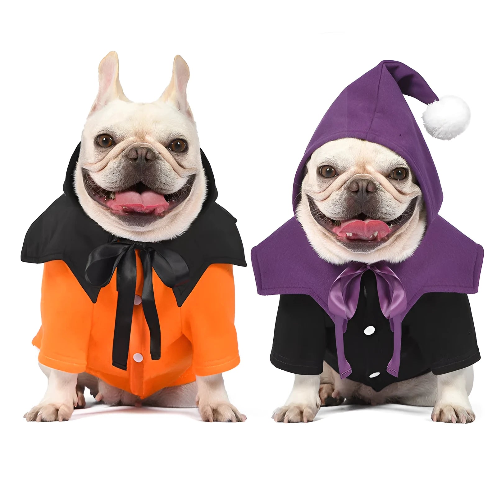 Halloween pumpkin dog costume with black and orange cotton sweater and matching shawl